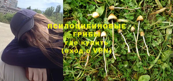 тгк Алзамай