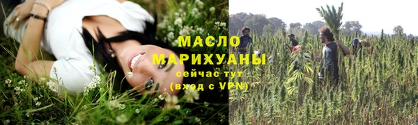 тгк Алзамай