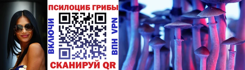 Псилоцибиновые грибы Psilocybe  darknet формула  Ветлуга 